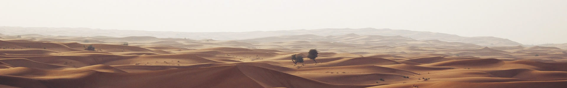 ɽʻ޹˾